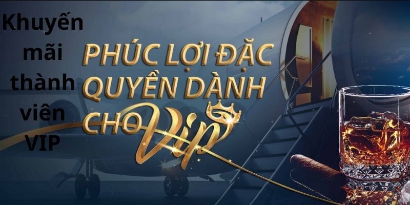 Các chương trình cụ thể chỉ dành cho VIP