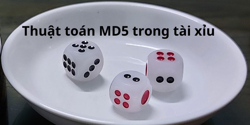 Thuật toán MD5 trong game MD5 tài xỉu như thế nào Thuật toán MD5 trong game MD5 tài xỉu như thế nào