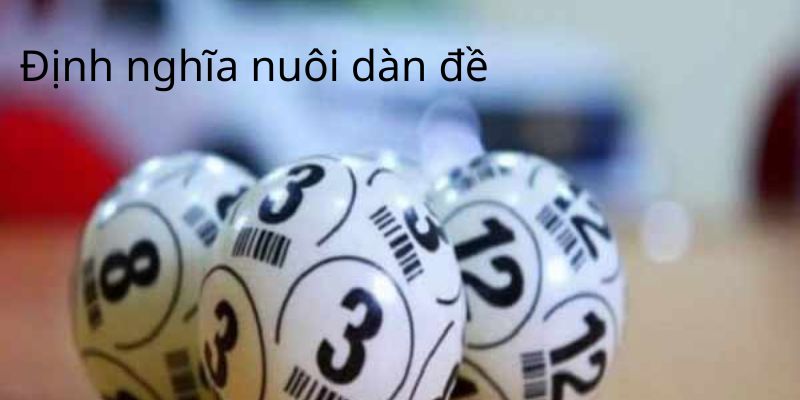 Giải thích cách nuôi dàn đề là gì Giải thích cách nuôi dàn đề là gì