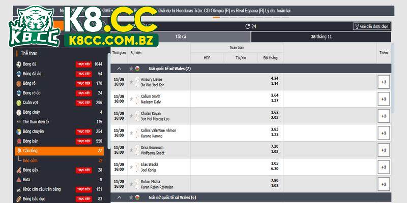 Cá cược cầu lông kèo đội thắng