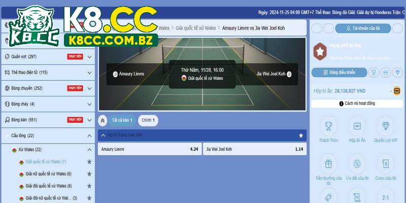 Tìm hiểu cá cược cầu lông nhà cái K8cc