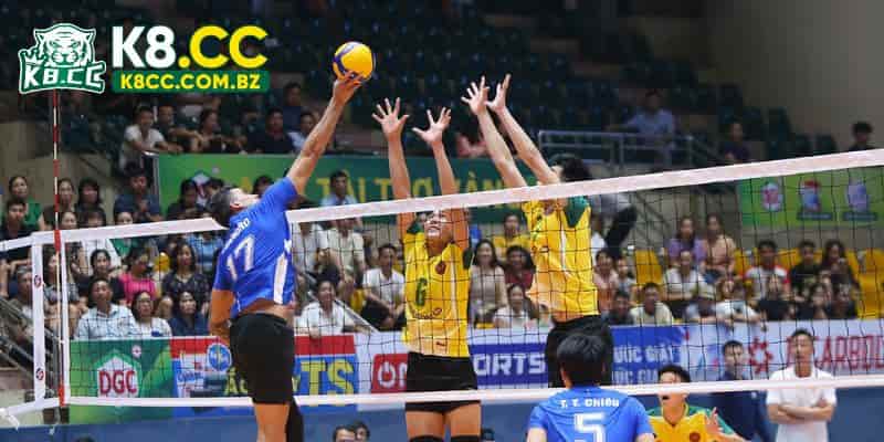 Vài điều giới thiệu về cá cược bóng chuyền