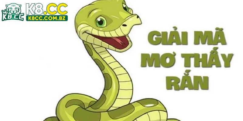 Phụ nữ chiêm bao thấy rắn - Tín hiệu may mắn