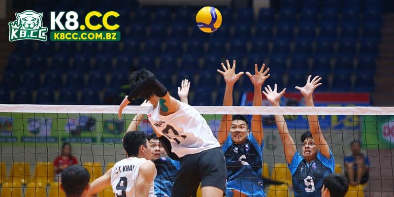 Bật mí cách cược bóng chuyền thắng lớn