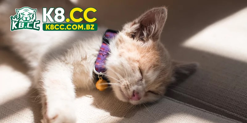 Khi mộng thấy chúng chết sẽ mang ý nghĩa tiêu cực nhiều hơn